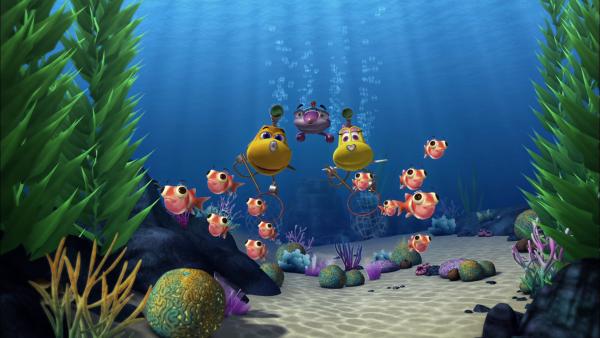 Bild 1 von 3: Timmy und Bess evakuieren die Fische in der Bucht.