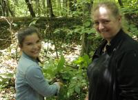 Anna und die wilden Tiere