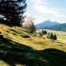 Abenteuer Wildnis