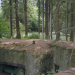 Geschichte & Entdeckungen
