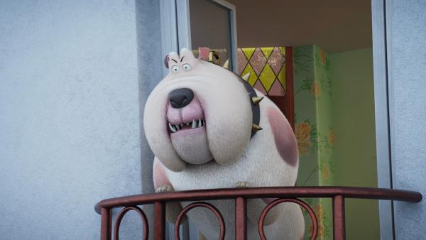 Bild 1 von 1: Hündin Bertha will das Haus nicht mehr verlassen, weil sie Angst vor Vögeln hat. Vom Balkon aus dirigiert sie die Rettungsaktion der Coop Troop.