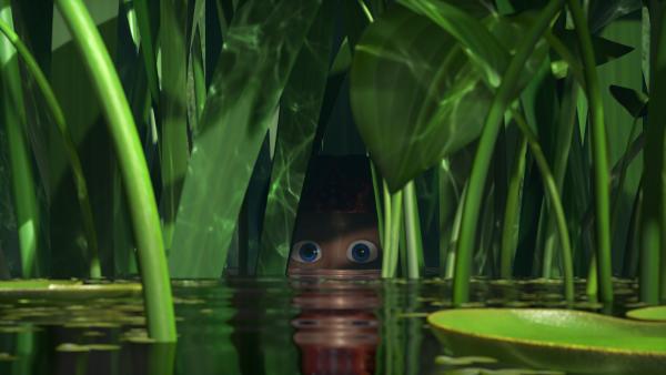 Bild 1 von 5: Eine heimliche Beobachterin versteckt sich im Schilf.