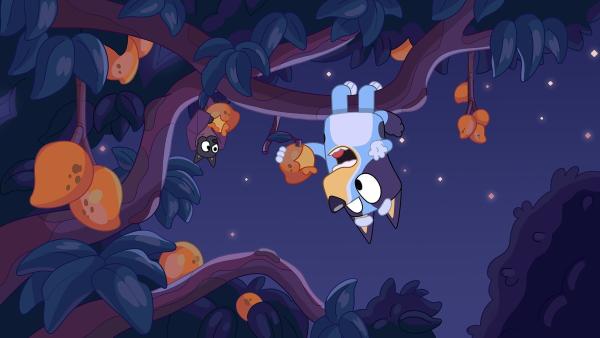 Bild 1 von 3: Bluey möchte nicht ins Bett gehen, viel lieber wäre sie ein nachtaktiver Flughund, damit sie die ganze Nacht wach bleiben kann. Und schon bald fliegt sie durch den Nachthimmel.