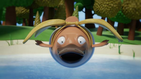 Bild 1 von 3: Nö-Nö fliegt.
