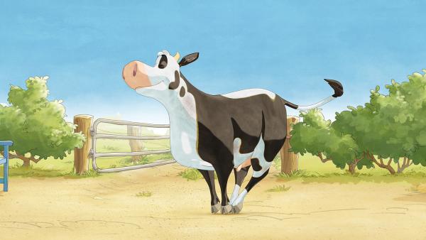 Bild 1 von 4: Lieselotte ist spitzenklasse im Spitzentanz.