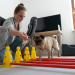 Das Leiden der Modehunde