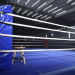 Bilder zur Sendung: ran Boxen: WM Kampf Tyron Zeuge vs. Paul Smith