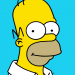 Die Simpsons