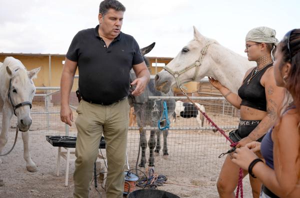 Bild 1 von 3: Pferdeveterinär Mario González-Coviella bei einer Zahnbehandlung auf Teneriffa