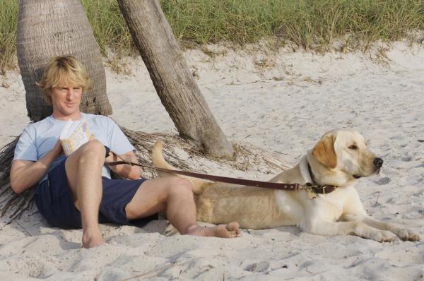 Bild 1 von 9: John Grogan (Owen Wilson)