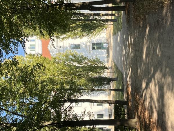 Bild 1 von 19: Ein Drehort für den Film über Rudolf Hofmann ist das Schloss Georgium in der Stadt Dessau in Sachsen-Anhalt. In der dortigen Gemäldesammlung befinden sich auch einige Gemälde von Albert Schwendy (1820 bis 1902), der lange in Dessau wirkte. Eines der Gemälde Schwendys gehörte einst Rudolf Hofmann.