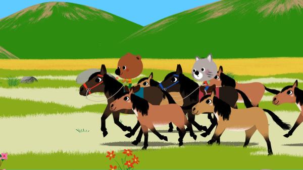 Bild 1 von 4: Mouk und Chavapa reiten mit Wildpferden um die Wette.