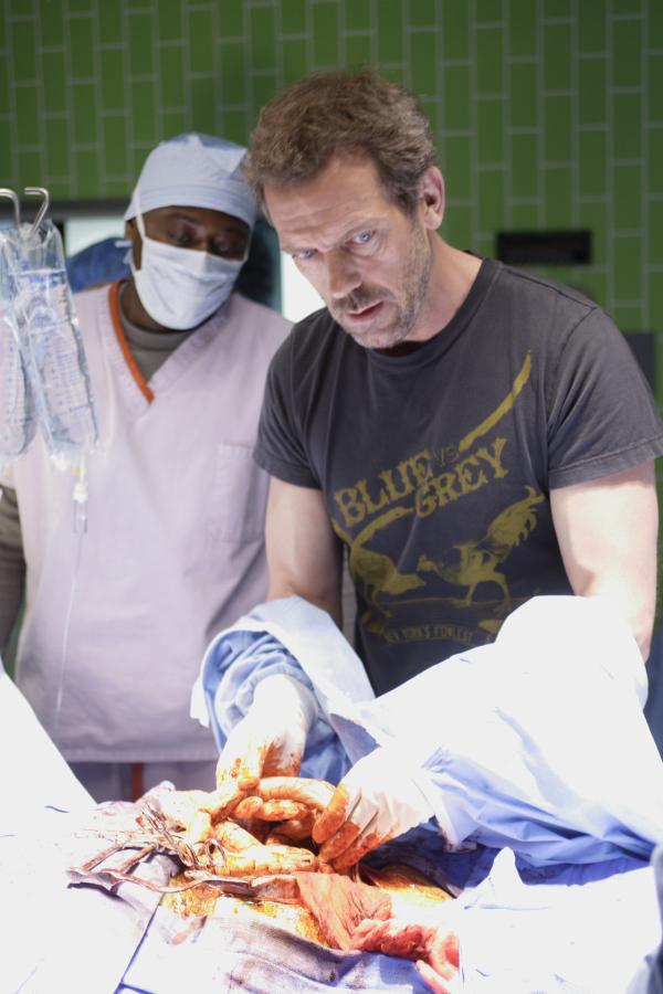 Bild 1 von 17: Ein neuer Fall beschäftigt Dr. Gregory House (Hugh Laurie, r.) und sein Team ...