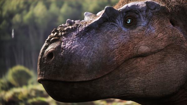 Bild 1 von 13: Noch nicht ausgewachsene, jugendliche Albertosaurier wie Rose spielten bei der Jagd des Rudels vermutlich eine entscheidende Rolle und fungierten als Treiber für die weniger agilen, aber kräftigeren Rudelmitglieder.