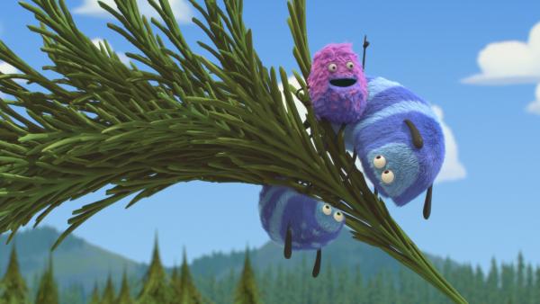 Bild 1 von 5: Strit möchte den Wald-Kühen zeigen, wie sie vom Baum runterkommen.