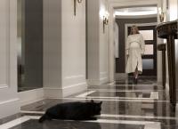 American Horror Story: Delicate