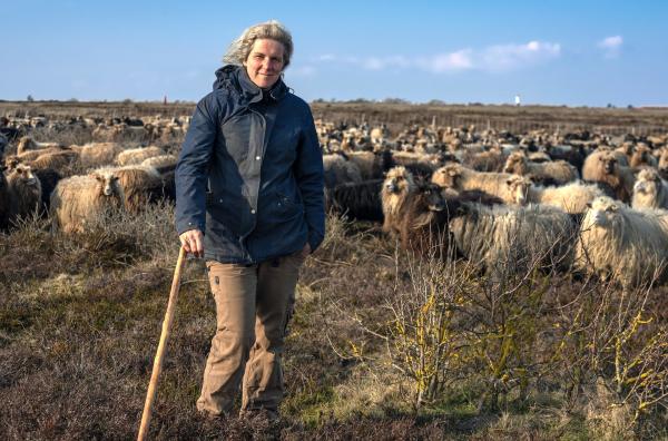 Bild 1 von 5: Wanderschäferin Uta Wree mit ihren Tieren auf Sylt