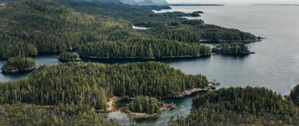 Bild 1 von 8: Den Nordmännern gelingt die Reise über den Atlantik bis zur Insel Neufundland im heutigen Kanada.
