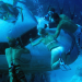 Into the Blue
