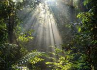 Ein perfekter Planet