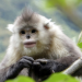 Geheimnisse Asiens - Die schönsten Nationalparks