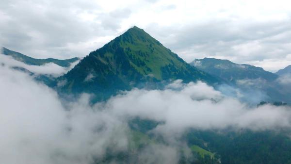 Bild 1 von 12: Im Bild:  Schoppenau.