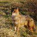 Bild 14