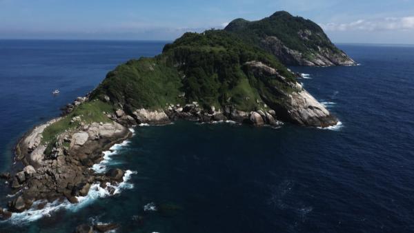 Bild 1 von 13: Die Insel Queimada Grande vor der Küste Brasiliens gilt als die gefährlichste Insel der Welt. Hier lebt die hochgiftige Insel-Lanzenotter \
