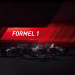 Formel 1: Das Rennen