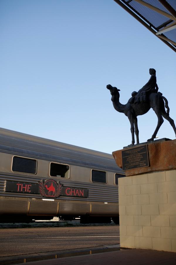 Bild 1 von 4: Bevor es den Zug gab, dienten Kamele als Transportmittel im Outback.