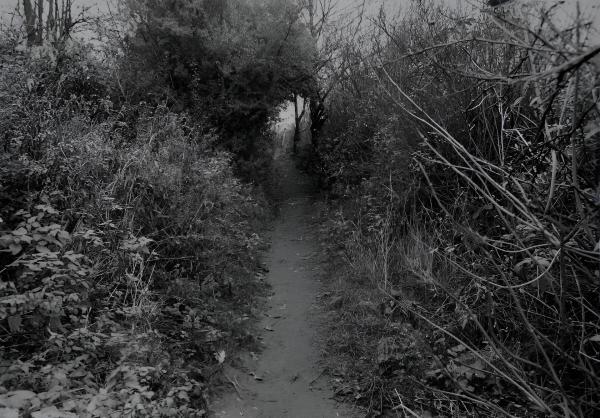 Bild 1 von 9: In einem Laubengang begegnet ein unbekannter Täter der neunjährigen Christina wohl zufällig. Dort missbraucht und tötet er das Kind.