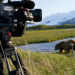 Unter Grizzlys