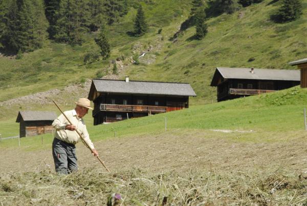 Bild 1 von 6: Altbauer Josef Perfler in Außervillgraten, Osttirol.