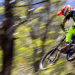 MTB Heroes: Trailblazers