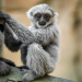 Zoo und so - Tierisch wild!