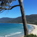 Tasmanien - Australiens grösste Insel