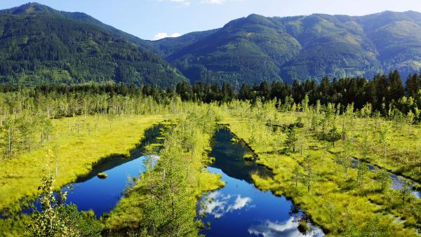 Bild 1 von 16: .