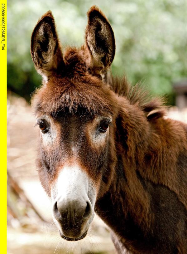 Bild 1 von 11: Die Urmutter der Zoo-Doku-Soaps \