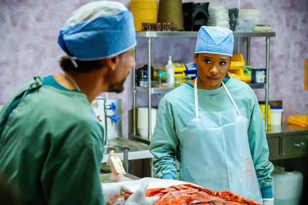 Bild 1 von 21: Im Bild: Ioan Gruffudd (Dr. Daniel Harrow), Faustina Agolley (Edwina Gharam).