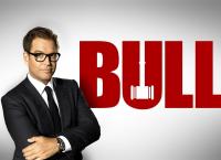Bull