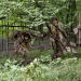 Bild 14