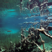 Plitvice - Land der fallenden Seen