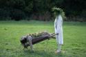 ZDF 01:15: Midsommar