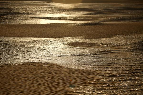 Bild 1 von 6: Pyrit im Sand in Karafish / Ägypten