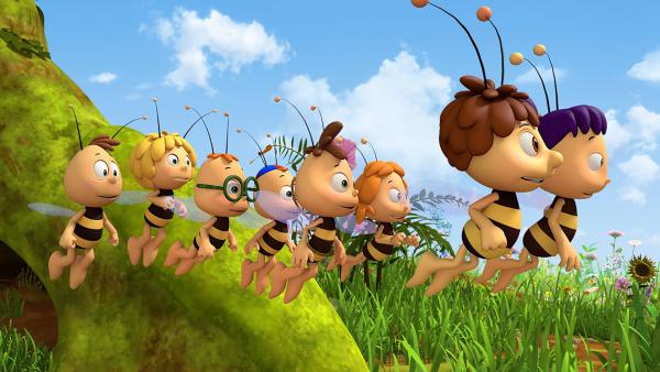 Bild 1 von 5: Anstatt ihr Diplom zu schreiben, machen die Bienen einen Wiesenausflug.