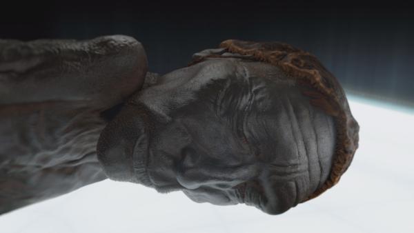Bild 1 von 1: 2.400 Jahre nach seinem Tod ist das Gesicht des Tollund-Mannes unglaublich gut erhalten.