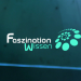 Faszination Wissen
