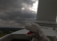 Sesamstraße präsentiert: Eine Möhre für Zwei