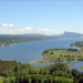 Wilde Schweiz