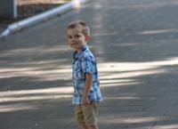 The Disappearance of William Tyrrell - Der Junge im Spiderman Kostüm